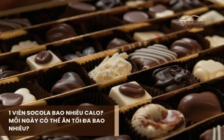 Cục Socola Bao Nhiêu Calo