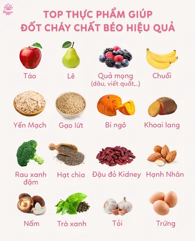 Ly Ngũ Cốc Bao Nhiêu Calo