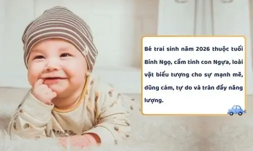 100 Ten Hay Cho Be Trai Nam Nham Thin
