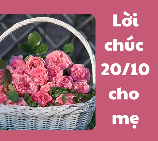 20 Tháng 10 Tặng Gì Cho Mẹ
