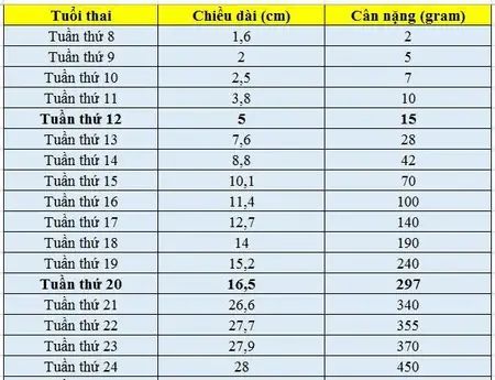 21 Tuan Be Nang Bao Nhieu
