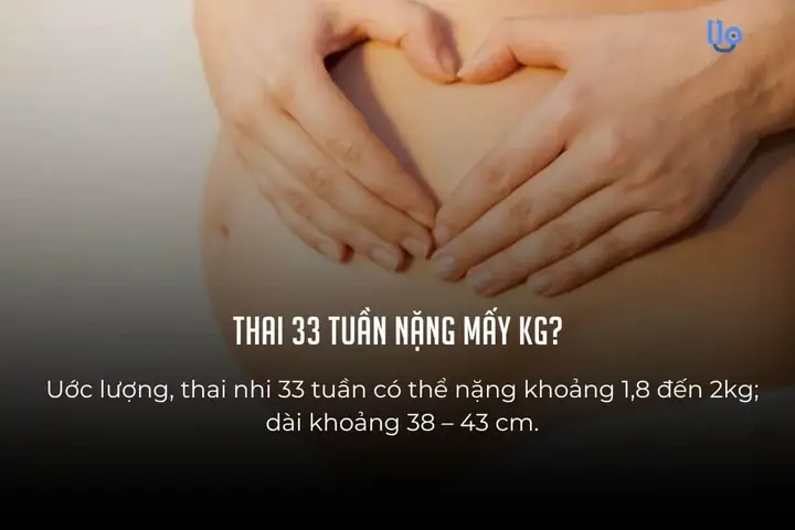33 Tuần Con Nặng Bao Nhiêu