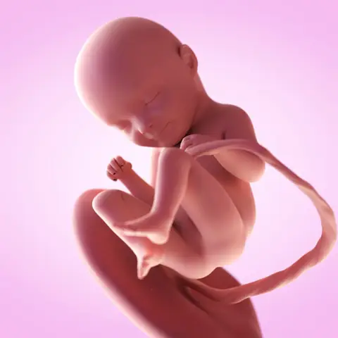 33 Tuần Con Nặng Bao Nhiêu