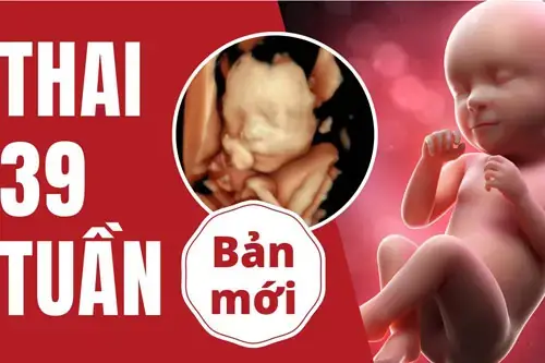 39 Tuần Là Bao Nhiều Tháng