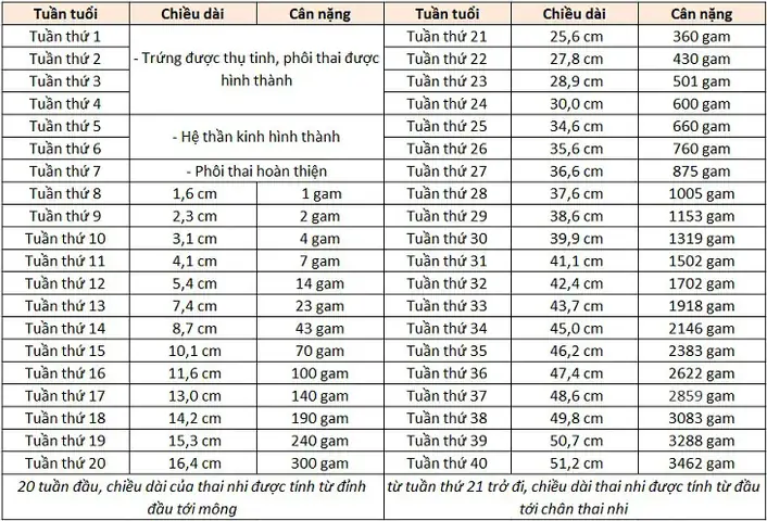 39 Tuần Là Bao Nhiều Tháng