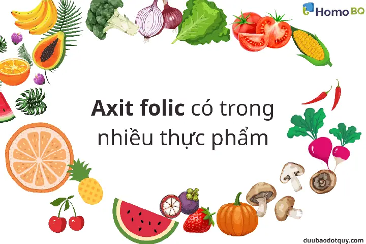 Acid Folic Có Ở Thực Phẩm Nào Acid Folic Có Ở Thực Phẩm Nào