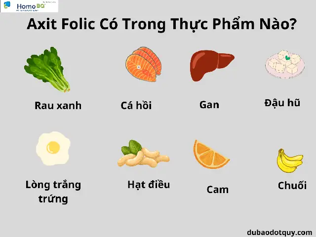 Acid Folic Có Ở Thực Phẩm Nào Acid Folic Có Ở Thực Phẩm Nào