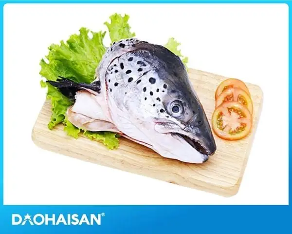 An Dau Ca Hoi Co Tot Khong