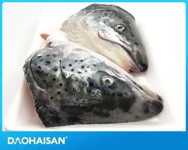 An Dau Ca Hoi Co Tot Khong