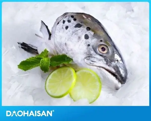 An Dau Ca Hoi Co Tot Khong