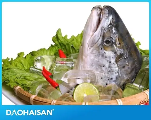 An Dau Ca Hoi Co Tot Khong