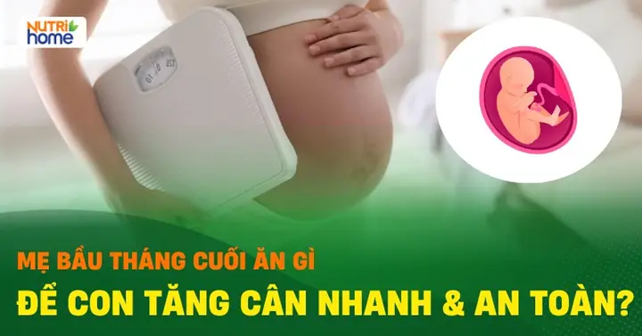 Ăn Gì Để Con Trong Bụng Tăng Cân Nhanh