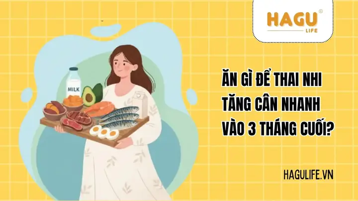 Ăn J Để Thai Nhi Tăng Cân
