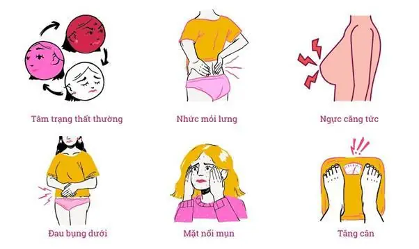 Ăn Nhiều Có Phải Là Dấu Hiệu Mang Thai Không