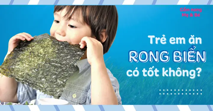 Ăn Rong Biển Khô Có Mập Không