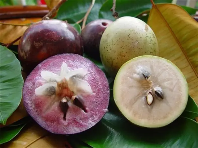 Ăn Trái Cây Gì Để Có Nhiều Sữa