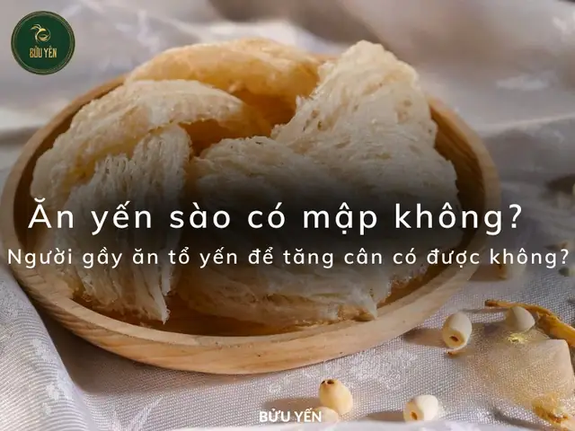 Ăn Yến Sào Có Tăng Cân Không