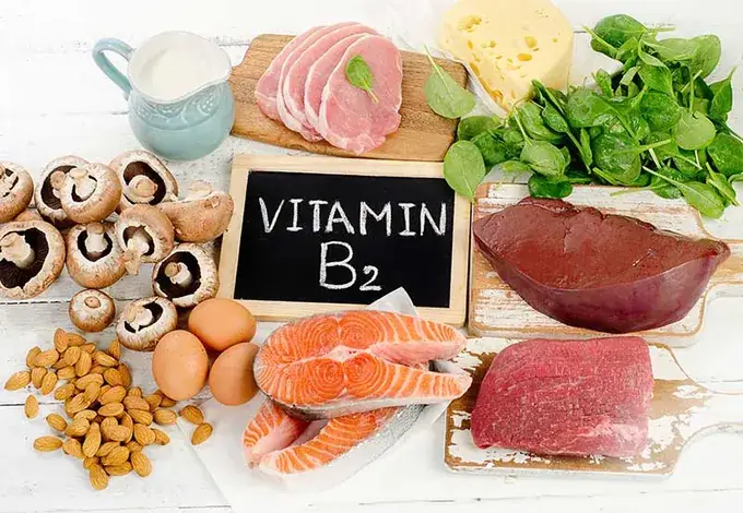 B2 Có Trong Thực Phẩm Nào B2 Có Trong Thực Phẩm Nào