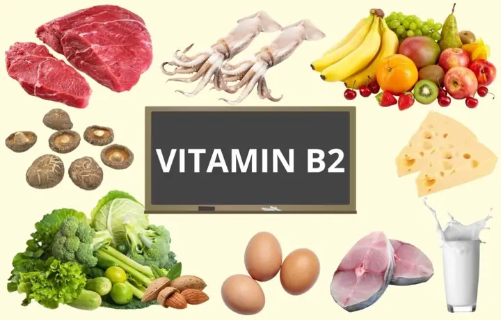B2 Có Trong Thực Phẩm Nào B2 Có Trong Thực Phẩm Nào