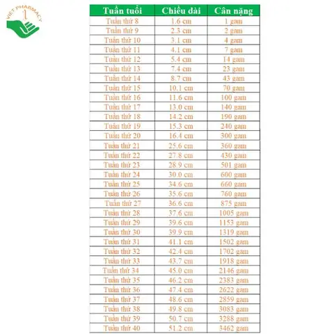 Bà Bầu 3 Tháng Cuối Cần Bao Nhiêu Sắt Bà Bầu 3 Tháng Cuối Cần Bao Nhiêu Sắt