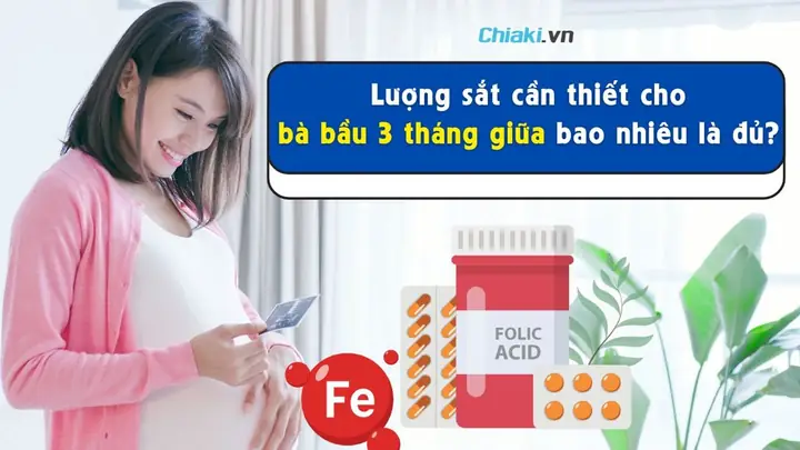 Bà Bầu 3 Tháng Cuối Cần Bao Nhiêu Sắt Bà Bầu 3 Tháng Cuối Cần Bao Nhiêu Sắt