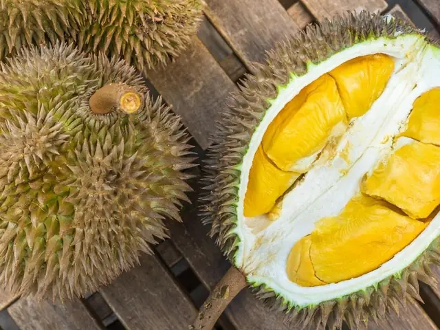 Bà Bầu 3 Tháng Đầu Có Nên Ăn Sầu Riêng