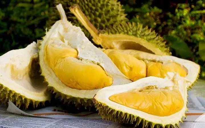 Bà Bầu 3 Tháng Đầu Có Nên Ăn Sầu Riêng