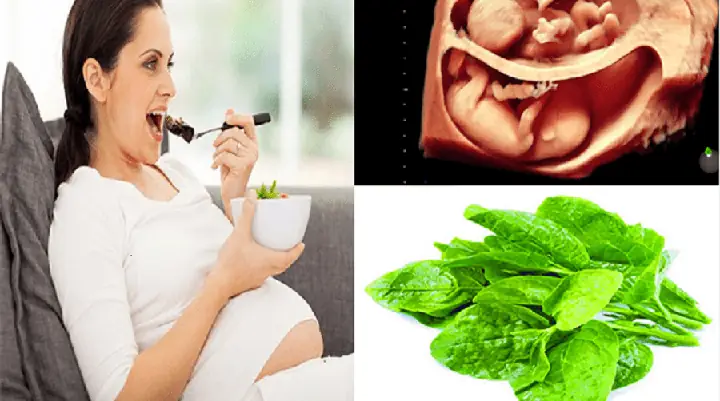 Bà Bầu 3 Tháng Đầu Có Nên Ăn Tỏi Không