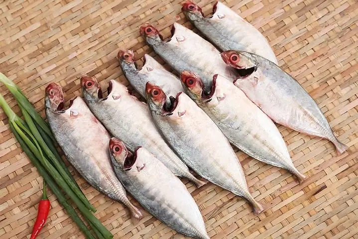 Ba Bau An Ca Bac Ma Duoc Khong