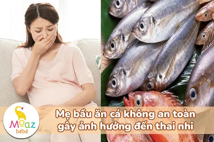 Bà Bầu Ăn Cá Hấp Được Không