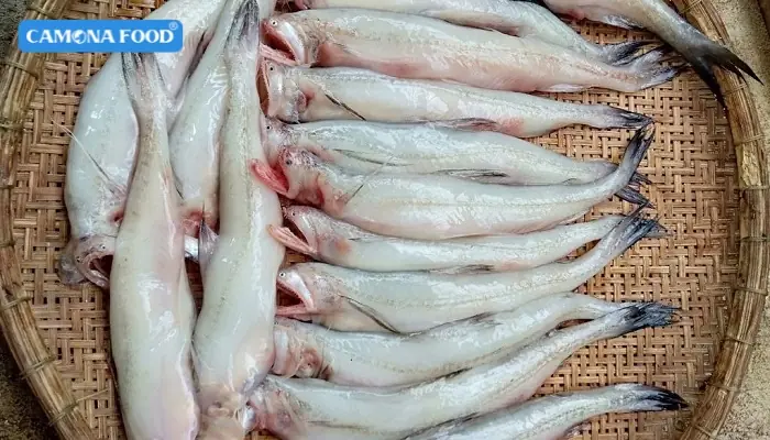 Bà Bầu Ăn Cá Khoai Được Không Bà Bầu Ăn Cá Khoai Được Không