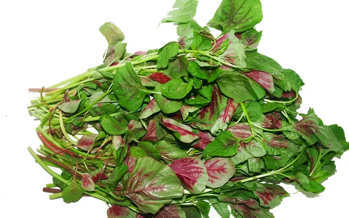 Bà Bầu Ăn Canh Rau Dền Được Không