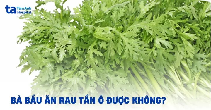 Bà Bầu Ăn Canh Tần Ô Được Không