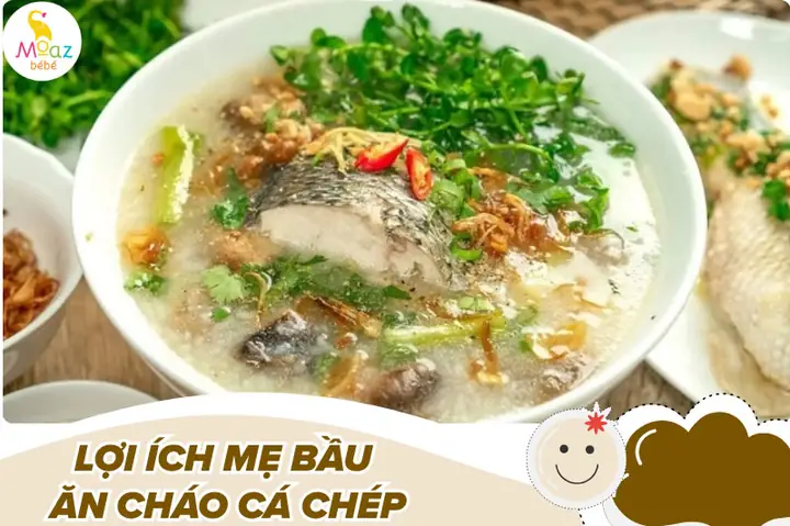 Bà Bầu Ăn Cháo Cá Chép Khi Nào