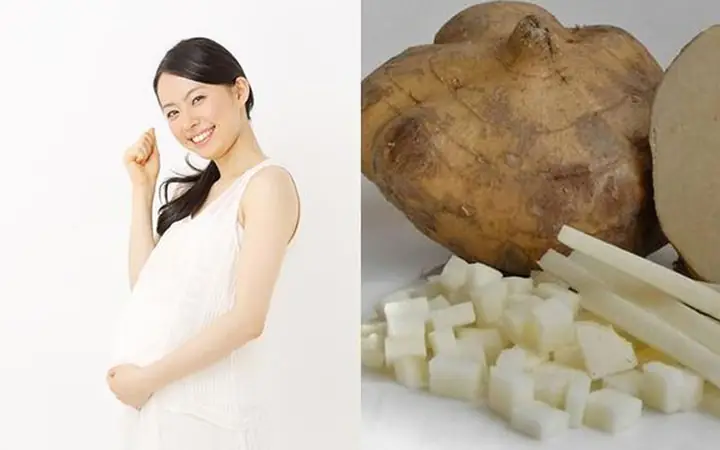 Bà Bầu Ăn Củ Sắn Có Được Không