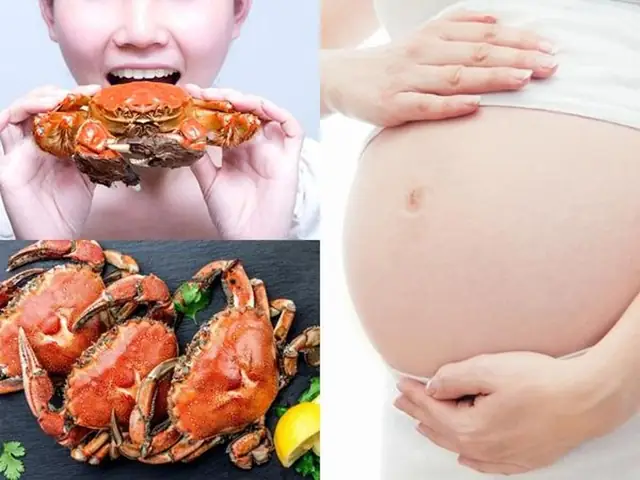 Bà Bầu Ăn Cua Nhiều Có Tốt Không