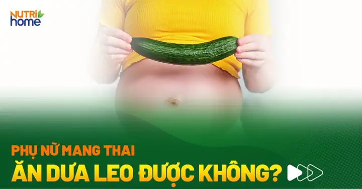 Bà Bầu Ăn Dưa Leo Có Tốt Không