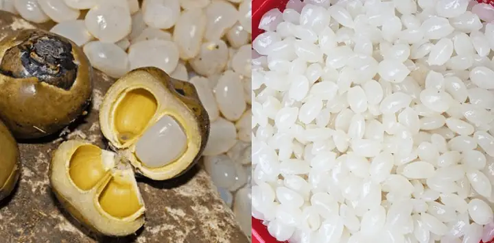 Bà Bầu Ăn Hạt Đác Có Tốt Không