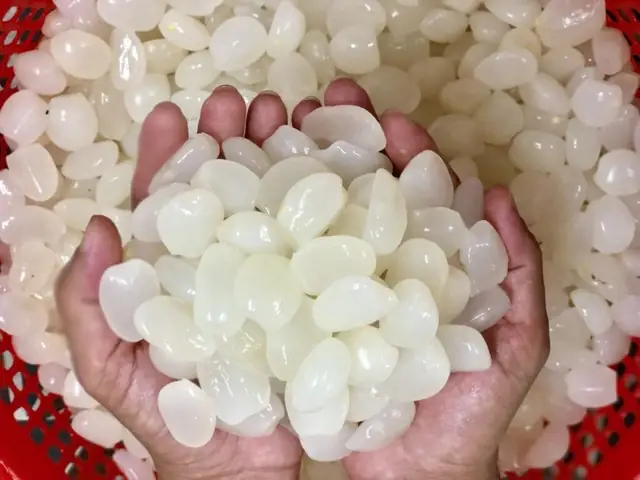 Bà Bầu Ăn Hạt Đác Có Tốt Không