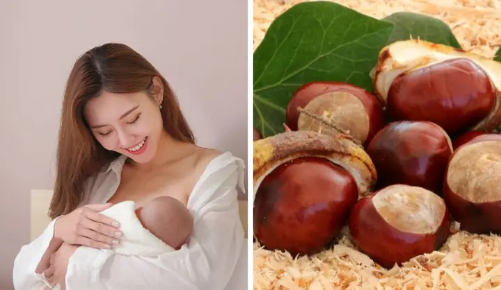 Bà Bầu An Hạt Dẻ Rừng Có Tốt Không