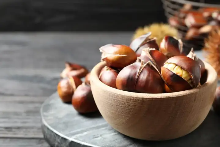 Bà Bầu An Hạt Dẻ Rừng Có Tốt Không