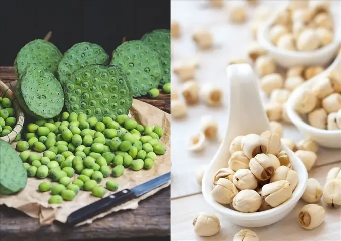 Bà Bầu Ăn Hạt Sen Tươi Có Được Không