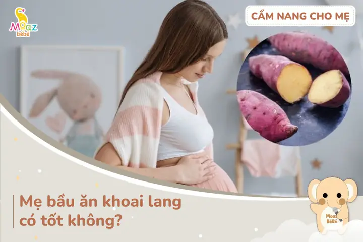 Bà Bầu Ăn Khoai Lang Có Béo Không