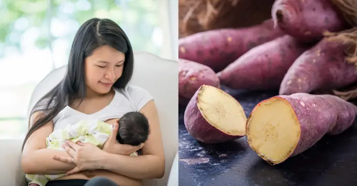 Bà Bầu An Khoai Lang Tím Được Không