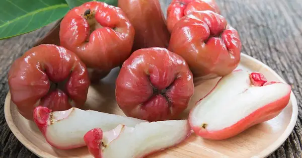Bà Bầu Ăn Mận Cơm Được Không