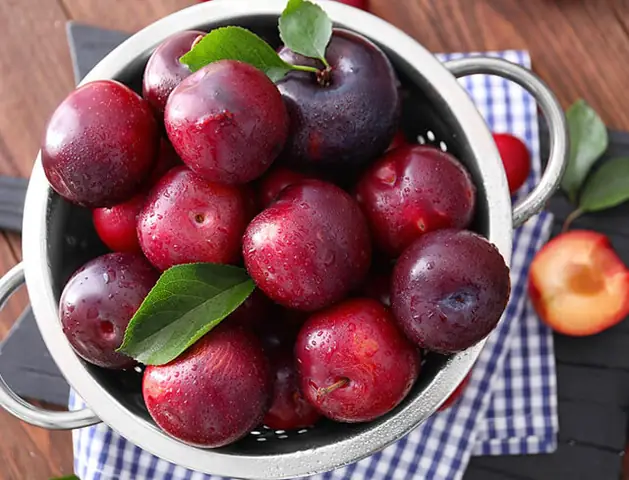 Bà Bầu Ăn Mận Cơm Được Không