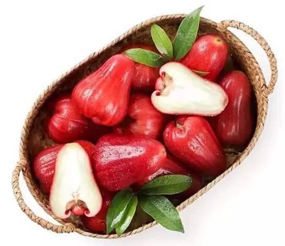 Bà Bầu Ăn Mận Cơm Được Không