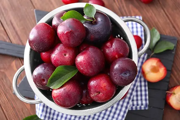 Bà Bầu Ăn Mận Hà Nội Có Sao Không