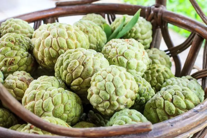 Bà Bầu Ăn Mãng Cầu Na Được Không