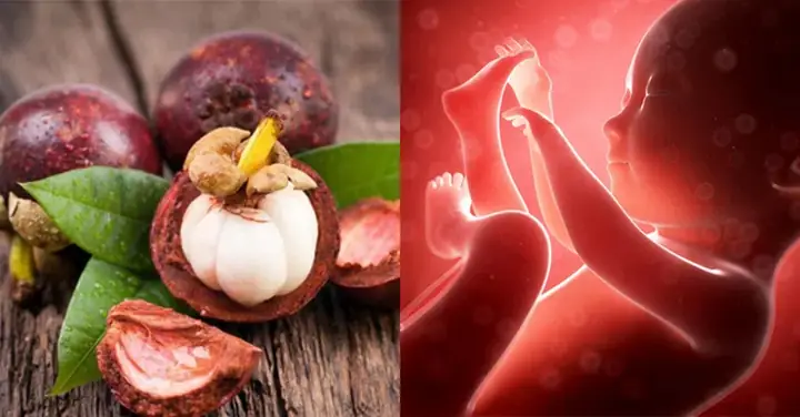 Bà Bầu An Măng Cụt Được Không Bà Bầu An Măng Cụt Được Không